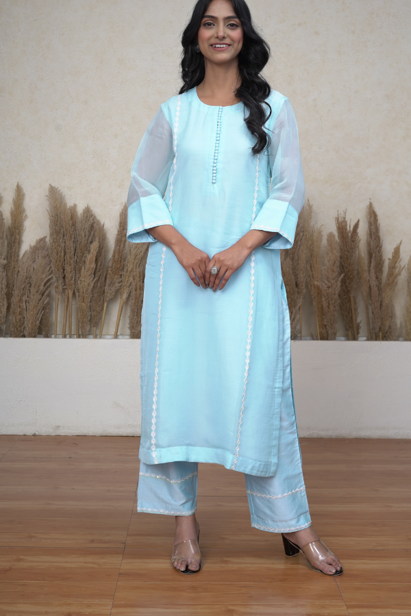 Powder blue organza hand embroidered pant suit